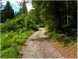 Blatni dol - Koča na Planini nad Vrhniko